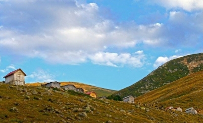 Çamlık Yaylası